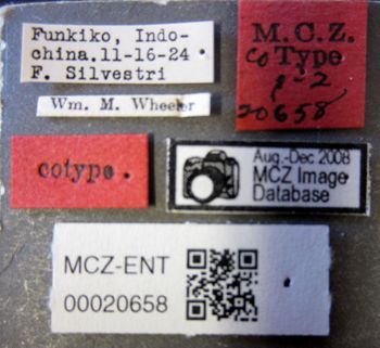 Media type: image;   Entomology 20658 Aspect: labels